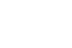 Lux Chic Shop